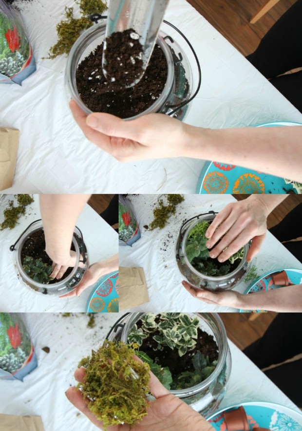 How_To_Make_Terrariums_Collage_3